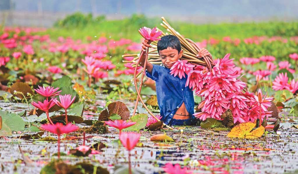 পর্যটন