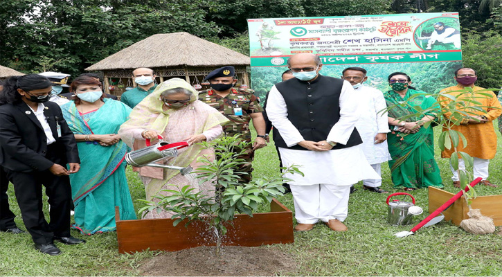 প্রধানমন্ত্রী শেখ হাসিনা গণভনে প্রাঙ্গণে বাংলাদেশ কৃষক লীগ আয়োজিত তিন মাসব্যাপী বৃক্ষরোপণ কর্মসূচির উদ্বোধন শেষে গাছের চারা রোপনণ করেন (বুধবার, ১৫ জুন ২০২২)।-পিআইডি