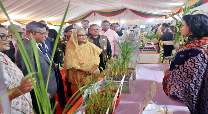 প্রধানমন্ত্রী শেখ হাসিনা বৃহস্পতিবার (২৩ ফেব্রুয়ারি ২০২৩) বাংলাদেশ ধান গবেষণা ইনস্টিটিউটে বাংলাদেশ ধান গবেষণা ইনস্টিটিউট এর গৌরব ও সাফল্যের ৫০ বছর পূর্তি অনুষ্ঠানে বাংলাদেশ ধান গবেষণা ইনস্টিটিউটের বিভিন্ন জাতের ধান উদ্ভাবন পরিদর্শন করেন।