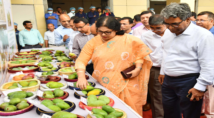 কৃষি সচিব ওয়াহিদা আক্তার ঢাকার শ্যামপুরে কেন্দ্রীয় প্যাকি হাউজে আম রপ্তানি কার্যক্রম পরিদর্শন করেন।