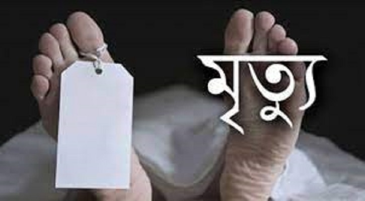 পেকুয়ায় বিদ্যুৎ স্পৃষ্টে দুইজনের মৃত্যু 