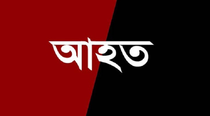 ধুনটে প্রতিপক্ষের মারপিটে কৃষক দম্পতি আহত 