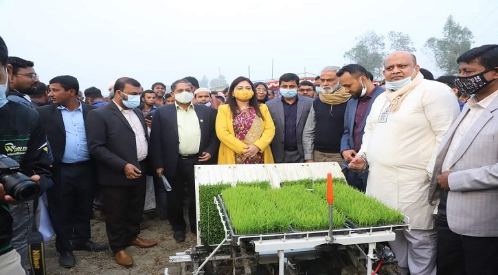 নরসিংদীতে ধানের চারা রোপণ কার্যক্রম শুভ উদ্বোধন