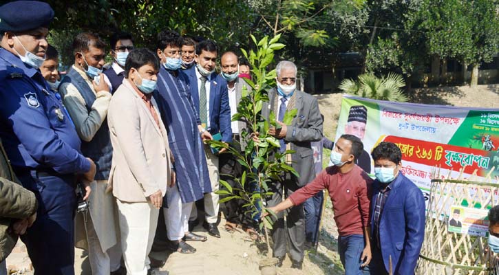 ধুনটে প্রচেষ্টা’র উদ্যোগে বর্ষব্যাপী বৃক্ষরোপন কর্মসূচির উদ্বোধন