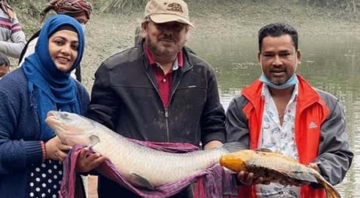 বিশাল মাছ চিতল বোয়াল ধরা পড়ছে নাঈম-শাবনাজের পুকুরে