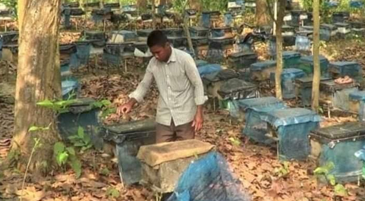 দেশ-বিদেশে এখন শেরপুরের গারো পাহাড়ের মধু