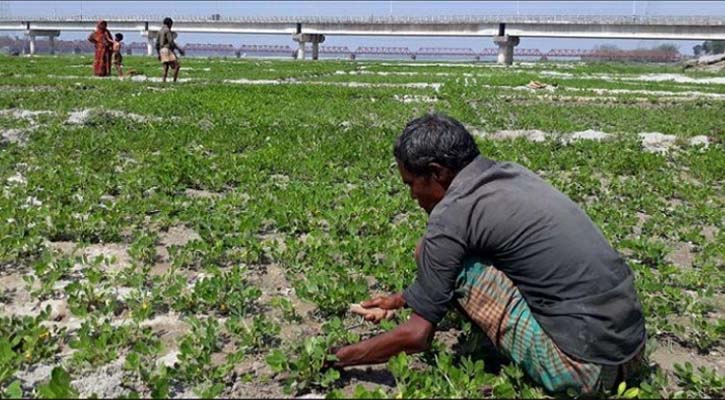 পাল্টে যাচ্ছে তিস্তার চরের মানুষের জীবনযাত্রা