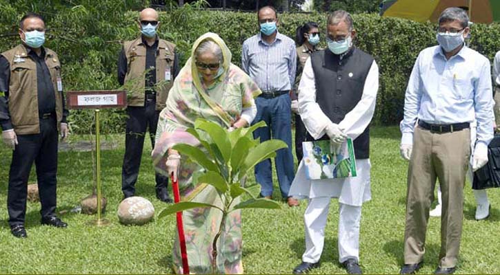 শনিবার জাতীয় বৃক্ষরোপণ উদ্বোধন করবেন প্রধানমন্ত্রী