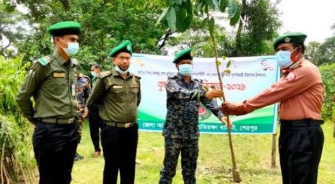 শেরপুরে আনসার ভিডিপির বৃক্ষরোপন উদ্বোধন