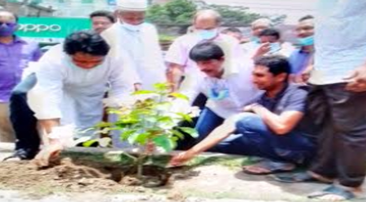 সবুজ বনায়ন কর্মসূচি উদ্বোধন করলেন পৌর মেয়র