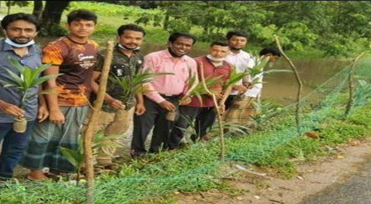 নোয়াখালী জেলা ছাত্রলীগ সহ-সভাপতির উদ্যোগে বৃক্ষরোপণ কর্মসূচি