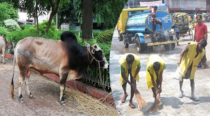 কোরবানি শেষে করনিয়