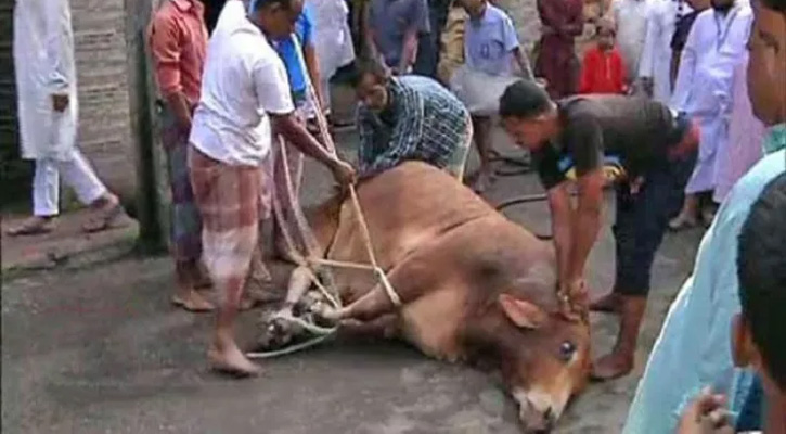 আজও পশু কোরবানি হচ্ছে রাজধানীতে