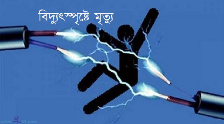 বিদ্যুৎস্পৃষ্ট হয়ে দুইজনের মৃত্যু