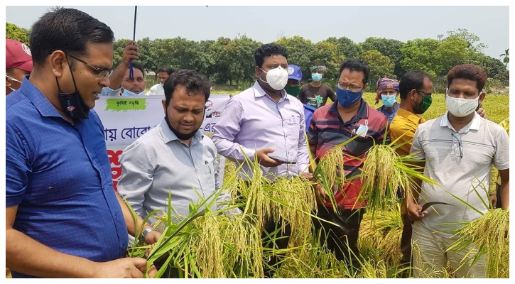 আত্রাইয়ে ইরি বোরো ধান কাটা মাড়াই শুরু