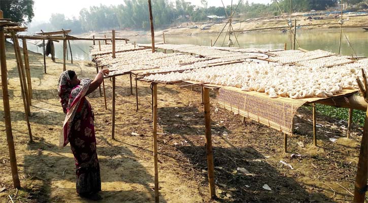 নারীদের তৈরি কুমড়ো বড়ির কদর সারাদেশে