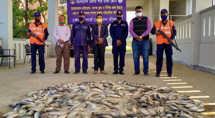 চাঁদপুরে যাত্রীবাহী লঞ্চ থেকে বিপুল পরিমান জাটকা জব্দ 