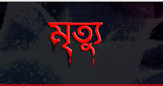 বরিশালে দুর্গাপূজায় শ্বশুর বাড়ি বেড়াতে গিয়ে যুবকের মৃত্যু