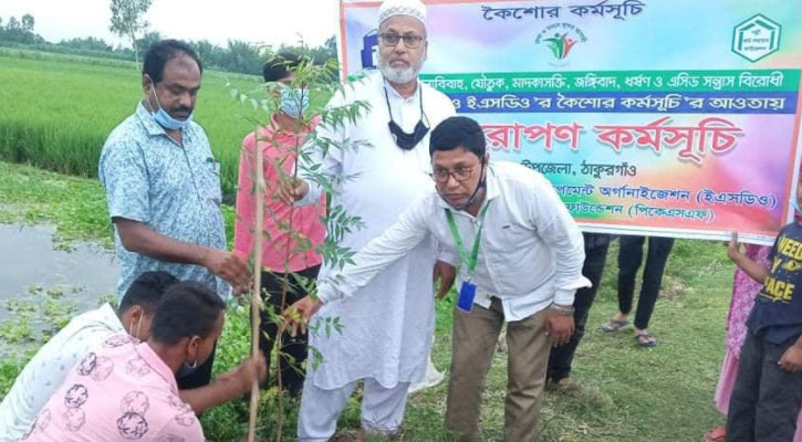 ঠাকুরগাঁও পীরগঞ্জে শতাধিক ঔষধি বৃক্ষ রপন