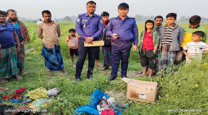 সরিষা ক্ষেত থেকে নবজাতকের লাশ উদ্ধার