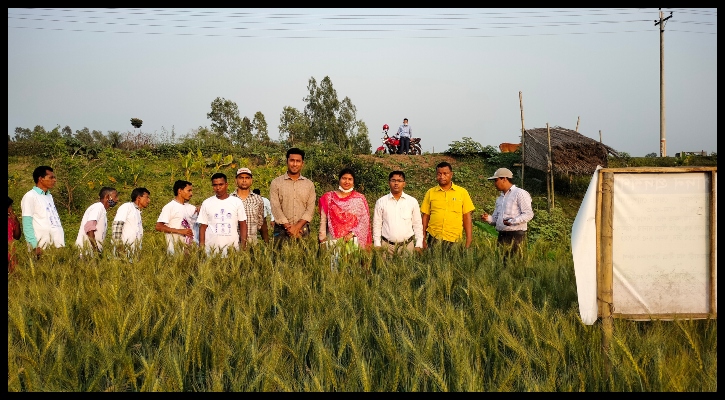 কোটালীপাড়ায় গমের রোগের প্রতিরোধে জনসচেতনতা বৈঠক