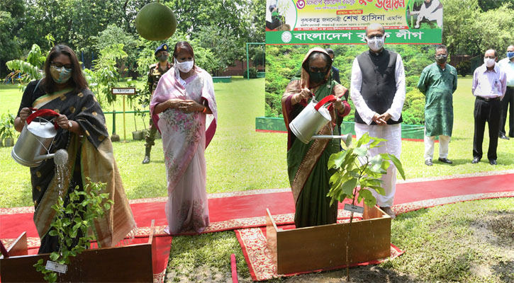 মুজিব আদর্শে প্রত্যেককে তিনটি করে গাছ লাগাতে বললেন প্রধানমন্ত্রী