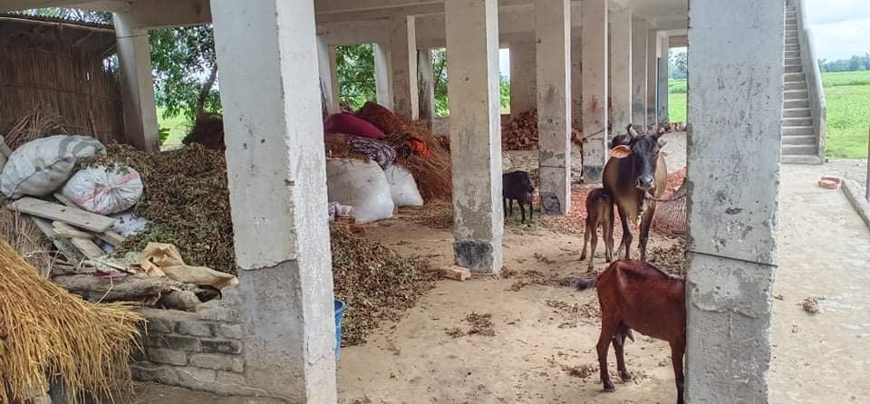 শিক্ষা প্রতিষ্ঠান নয় যেন গোয়াল ঘর