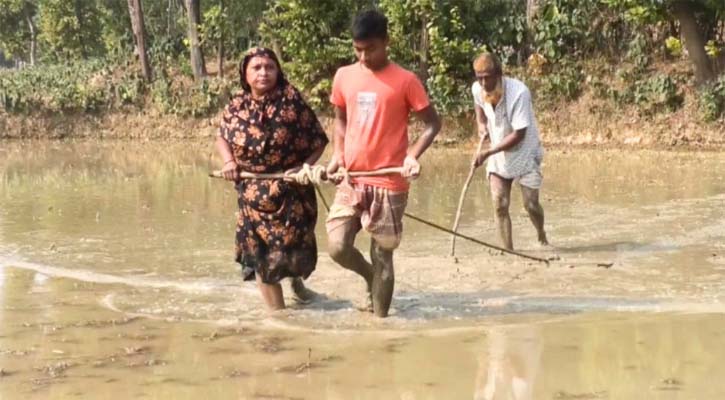 অভাবে স্ত্রী সন্তানকে দিয়ে করাচ্ছেন বলদের কাজ