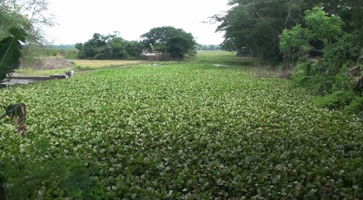 গোপালগঞ্জে খাল ভরাট হওয়ায় বিপাকে কৃষক