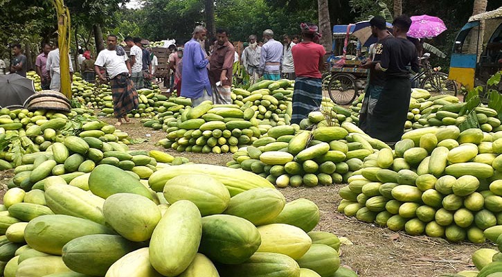 সদরপুরে বাঙ্গির বাজার