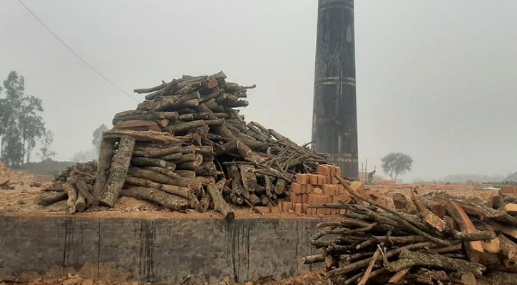 কুষ্টিয়ায় ১৭ ইটভাটায় ৪২ লাখ টাকা জরিমানা