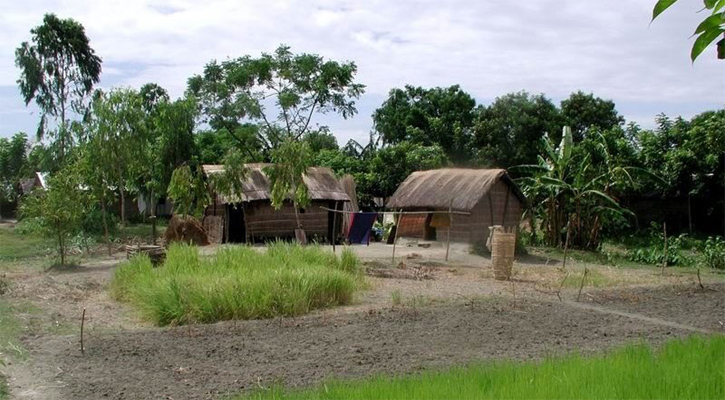 কোটালীপাড়ার উন্নয়ন বঞ্চিত একটি গ্রাম চিথলীয়া