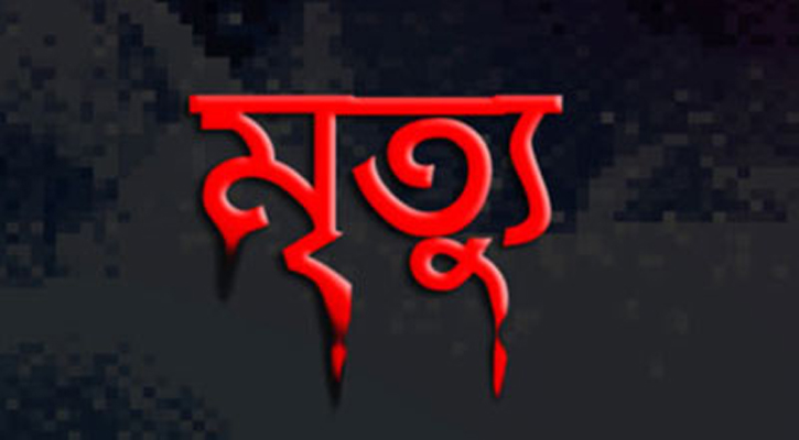 কুষ্টিয়ায় ভাগ্নের হাতুড়ির আঘাতে মামার মৃত্যু