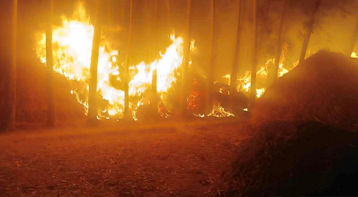 দুর্বৃত্তের আগুনে পুড়ল ৭টি খড়ের পালা