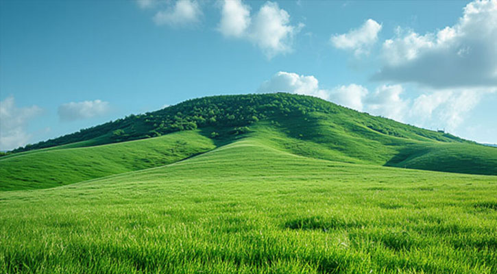 বিজন গাঁয়ের দীঘল প্রান্তরে