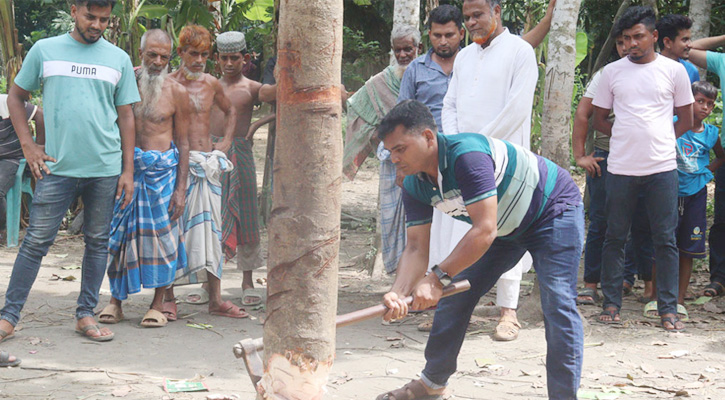 কেটে ফেলা হয়েছে ‘কথা বলা’ সেই গাছ