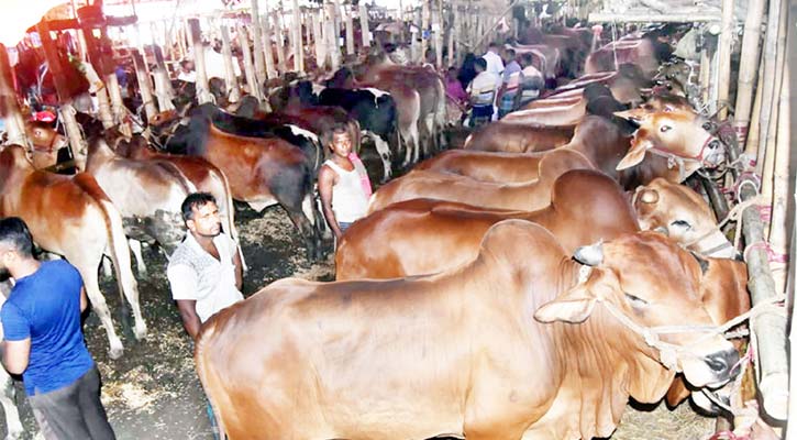 রাজধানীর আফতাবনগরে পশুরহাটে আদালতের নিষেধাজ্ঞা