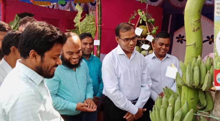 কোটচাঁদপুরে তিন দিনব্যাপী কৃষি প্রযুক্তি মেলার উদ্ভোধন
