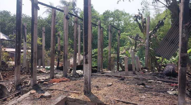 সিংগাইরে ভয়াবহ আগুনে নিঃস্ব ২ দিনমজুর পরিবার, পুড়েছে গরু ও নগদ টাকা