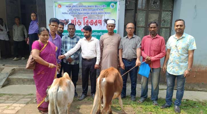 কমলগঞ্জে ক্ষুদ্র নৃ-গোষ্ঠীর মাঝে ষাঁড় গরু বিতরণ