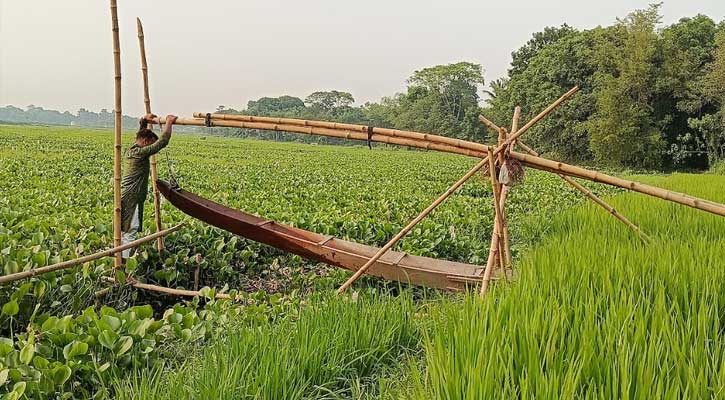 সিংগাইরে কালের সাক্ষী হয়ে এখনও পানি সেচ দিচ্ছে গ্রামবাংলার ঐতিহ্যবাহী “দোন”