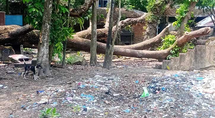 নলছিটি শহীদ মিনারের পাশে ভয়াল নেশার আসর, উদ্বিগ্ন স্থানীয়রা