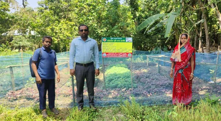 বোয়ালমারীতে গড়ে উঠছে পারিবারিক পুষ্টি বাগান