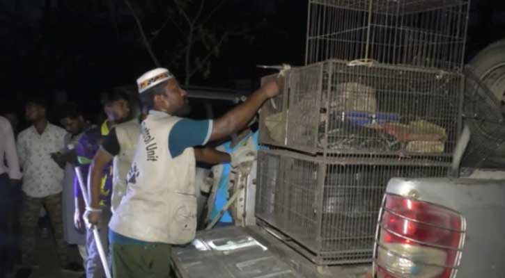 ঝিনাইগাতীর গজনী অবকাশের চিড়িয়াখানা থেকে ১৭টি বণ্যপ্রাণী উদ্ধার