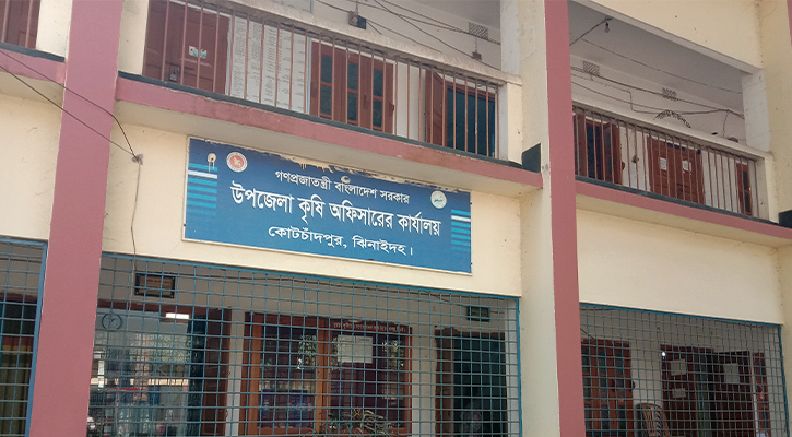 কোটচাঁদপুরে ডিলারের অবৈধ ভাবে সার বিক্রির অভিযোগ