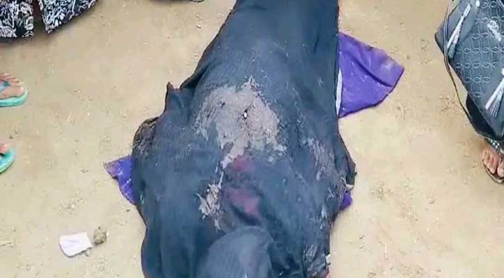 নগরকান্দায় ট্রাকের ধাক্কায় নারীর মৃত্যু, আহত-৩