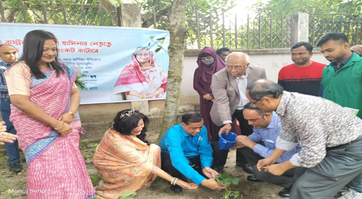 কমিউনিটি ক্লিনিকের আঙ্গিনায় সবজি উৎপাদন