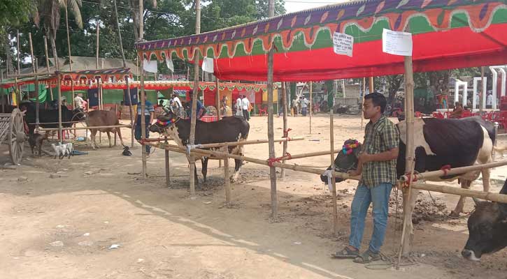 মদনে নামে মাত্র প্রাণী সম্পদ প্রদর্শনী মেলা