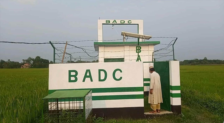 লালপুরে বিএডিসি সেচ প্রকল্পের সুফলে বদলে যাচ্ছে কৃষকের ভাগ্য