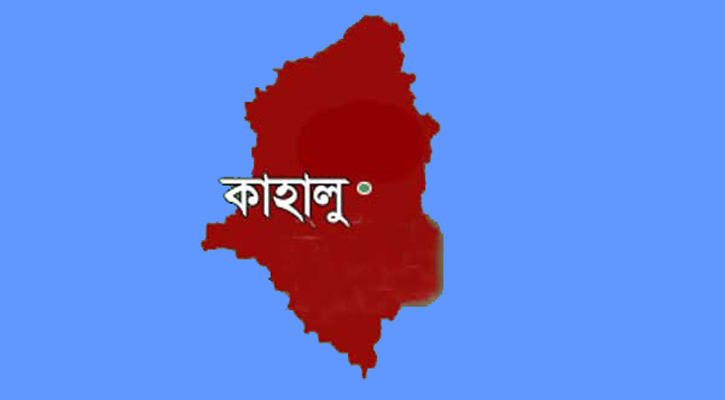 কাহালুতে দাদন ব্যবসাকে কেন্দ্র করে মারপিট, আহত ৩